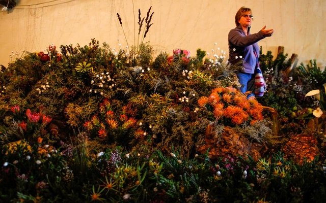 Gansbaai Funky Fynbos 18